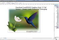Download CorelDRAW Graphics Suite 11 Full Version – Desain Grafis Profesional Terlengkap 2
